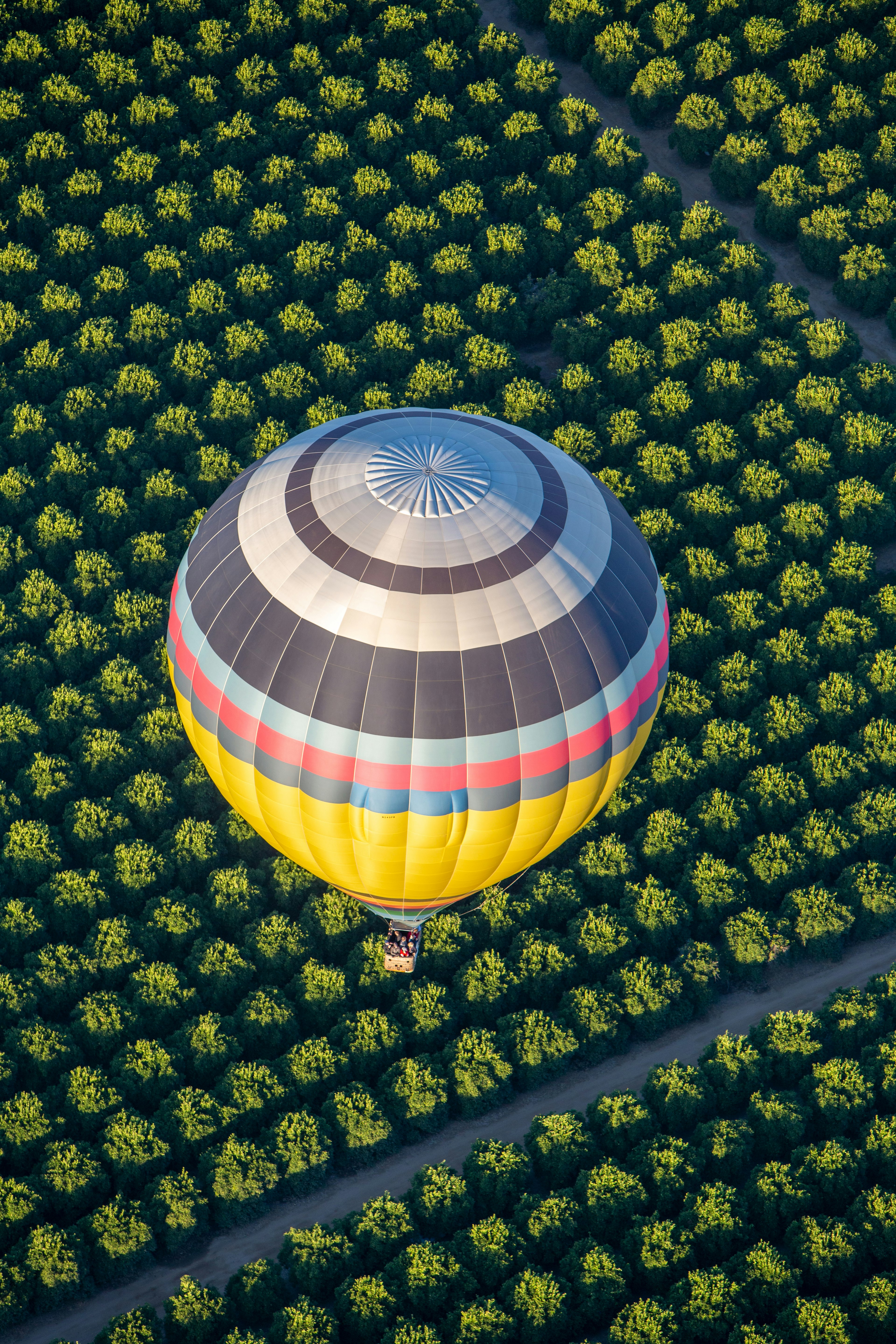 blue green and yellow hot air balloon